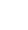 dollar sign icon