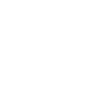 firework icon