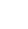 pie chart icon